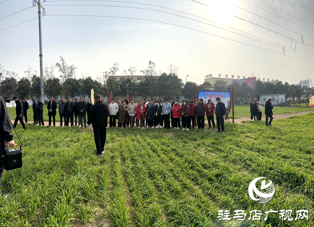 正陽縣組織高素質農民赴噸源種業觀摩學習