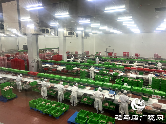 河南上農實業有限公司：沖刺四季度 奏響經濟增長強音