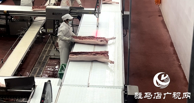 河南上農實業有限公司：沖刺四季度 奏響經濟增長強音