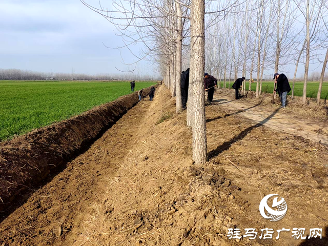 平輿縣李屯鎮：打通田間“微循環” 搭建民生“連心橋”