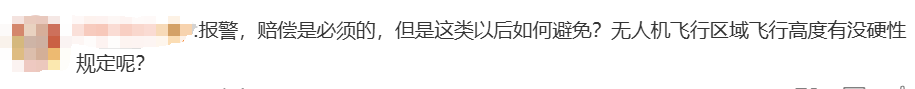 無人機傷人，飛手該擔何責？律師解讀