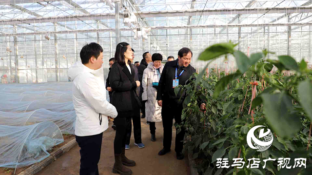 西平縣政協開展提案督辦專題視察活動