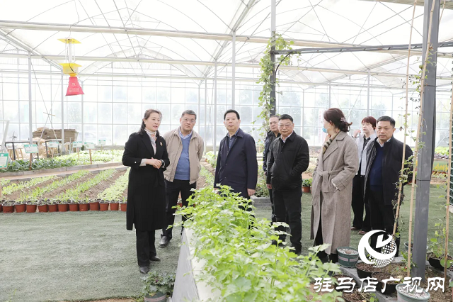 驛城區人民檢察院：深入推進人民監督工作  提升檢察履職透明度和效能