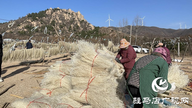 驛城區：紅薯粉條“曬”出農家致富路