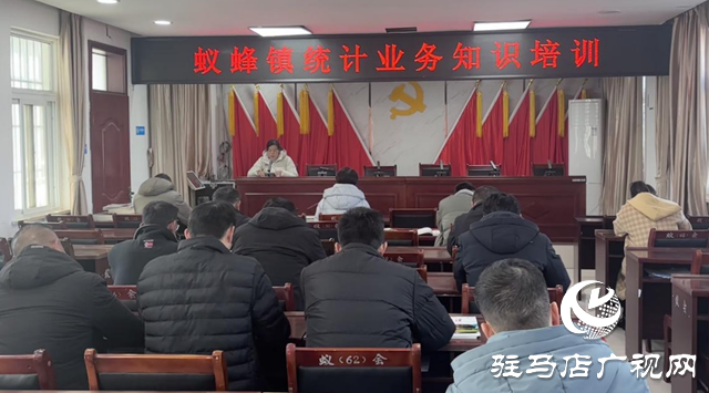 驛城區蟻蜂鎮：凝集統計力量 賦能鄉村振興