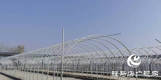 泌陽縣：推動食用菌產業高質量發展