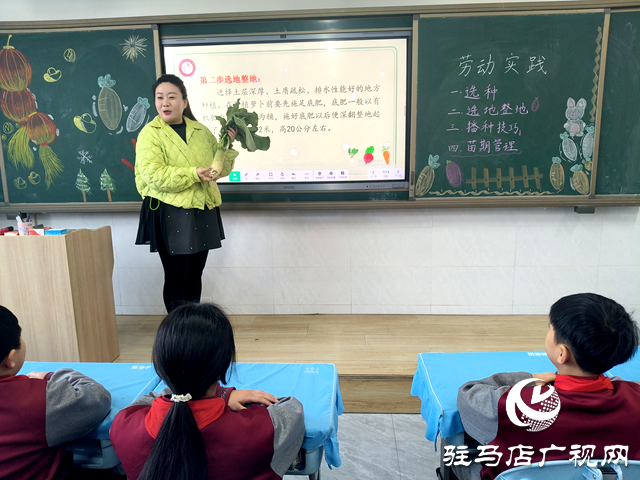 駐馬店經濟開發區金雀路小學：開展勞動實踐課 蘿卜地里促成長