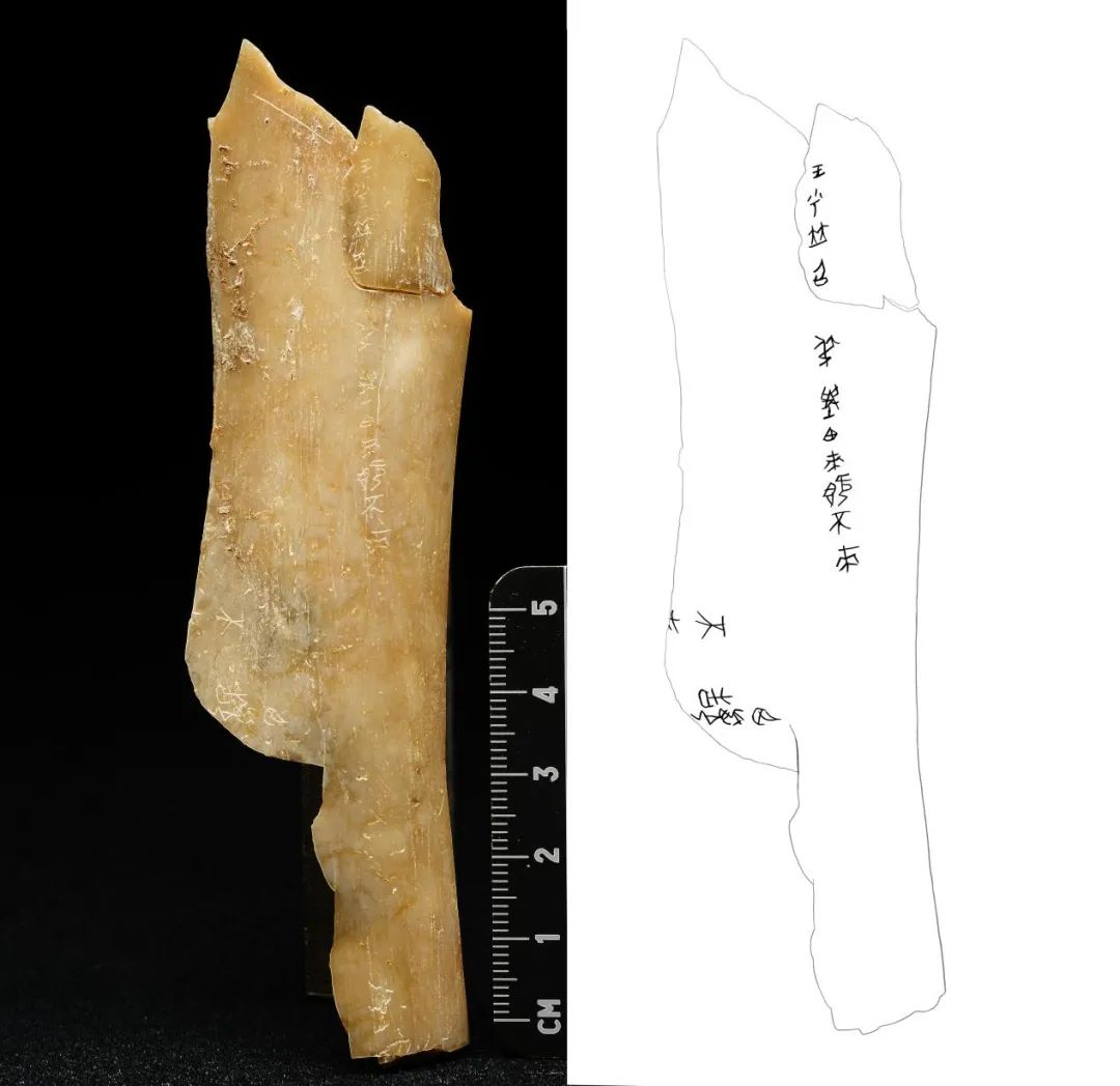 重大發現！首次出土有“秦人”字樣甲骨