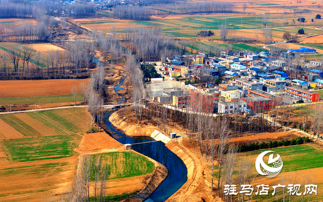 泌陽縣黃山口鄉：走穩小麥“田管棋”，繪就夏收好“豐”景