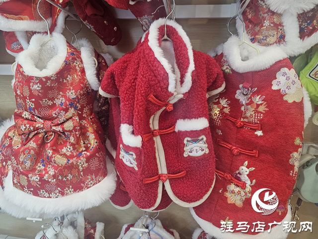 春節臨近 寵物經濟“旺”起來