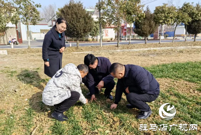 駐馬店市農科院：節前走訪顯關懷 歲寒慰問暖人心