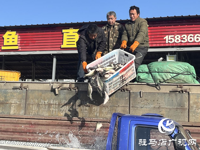 需求攀升供應充足 駐馬店節前水產品市場購銷兩旺