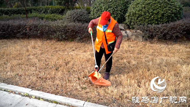 遂平縣：用堅守詮釋責任 用奉獻書寫擔當
