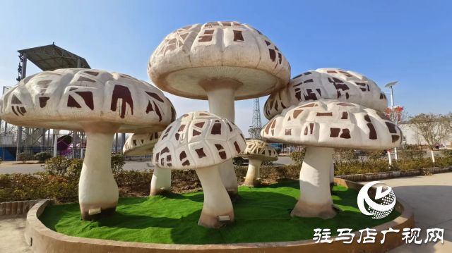 公交直達！泌陽縣花菇博物館開啟奇妙之旅