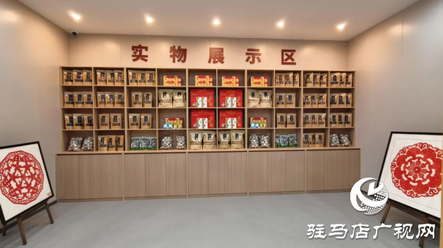 公交直達！泌陽縣花菇博物館開啟奇妙之旅