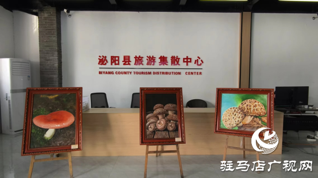 公交直達！泌陽縣花菇博物館開啟奇妙之旅
