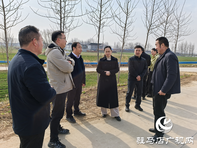 張燕帶隊調研正陽縣生態環境保護工作