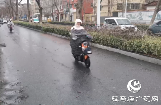 暴風雨突襲 刮倒路旁大樹