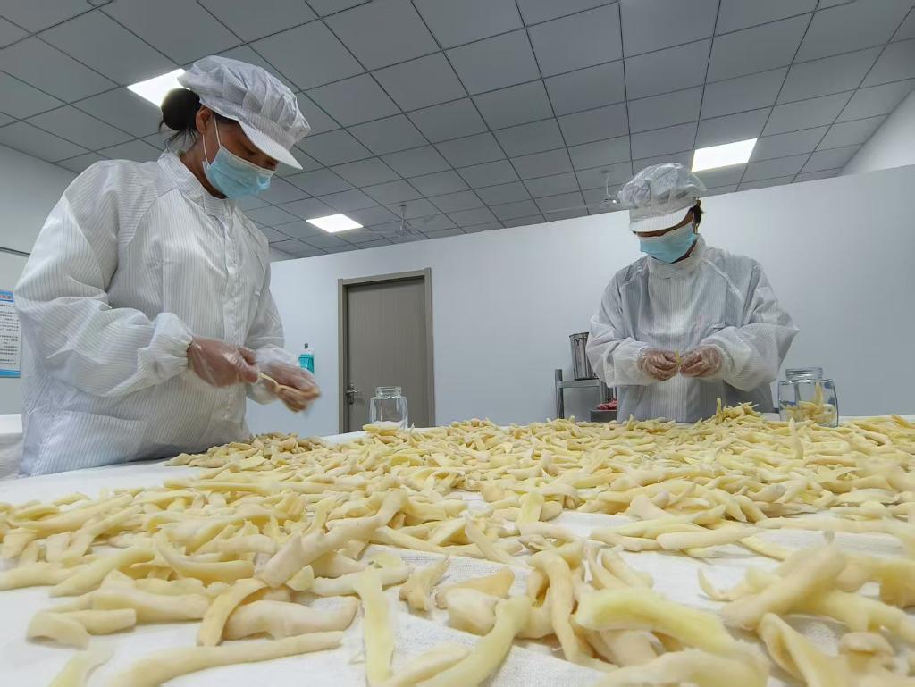 這些“三農”內容，讓農民增收有了新“密碼”