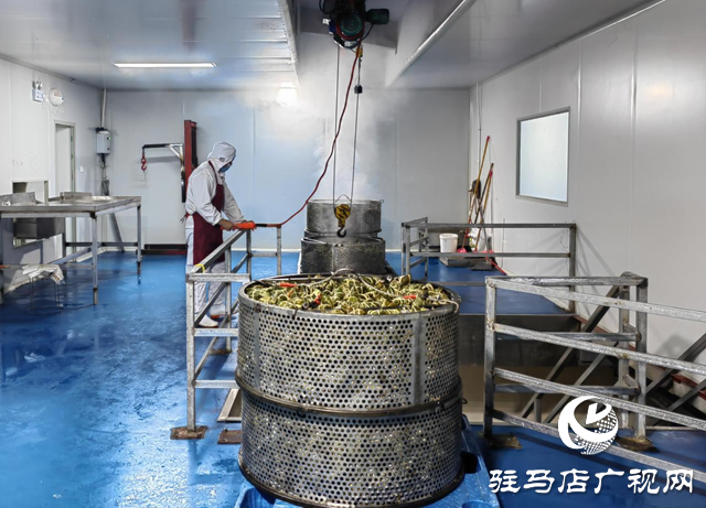 確山喜來順食品：開足馬力搶生產 奮戰首季開門紅