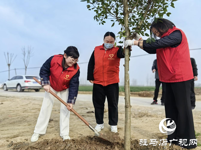 驛城區水屯鎮：“志愿紅”繪就“生態綠”