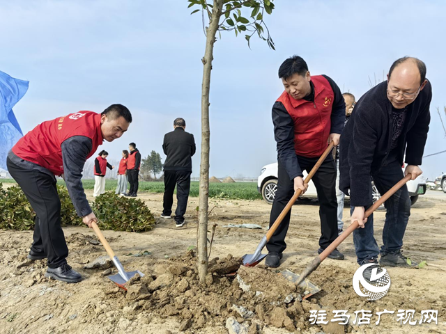 驛城區水屯鎮：“志愿紅”繪就“生態綠”