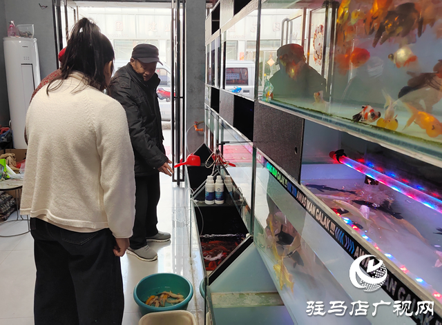 天氣轉暖 觀賞魚市場持續升溫