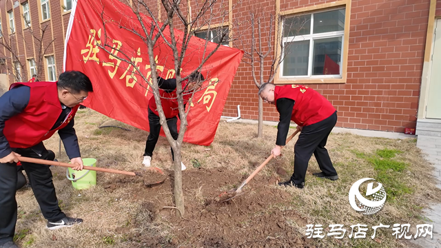 駐馬店市財政局：播撒綠色希望 情暖養老中心