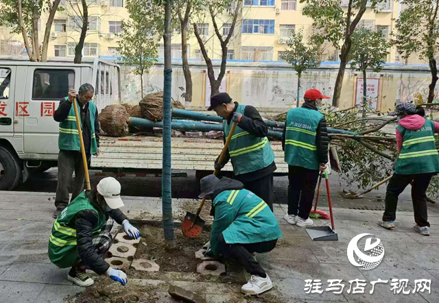 駐馬店經濟開發區城市管理局：“植”此青綠繪新篇