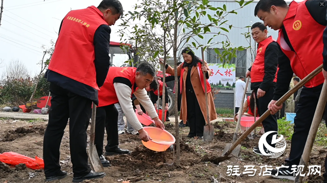 平輿縣身邊好人協會：綠美平輿 共植好人林