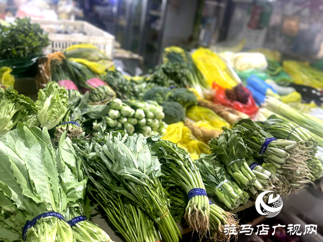 “菜籃子”春日煥新 本地蔬菜上市物豐價穩
