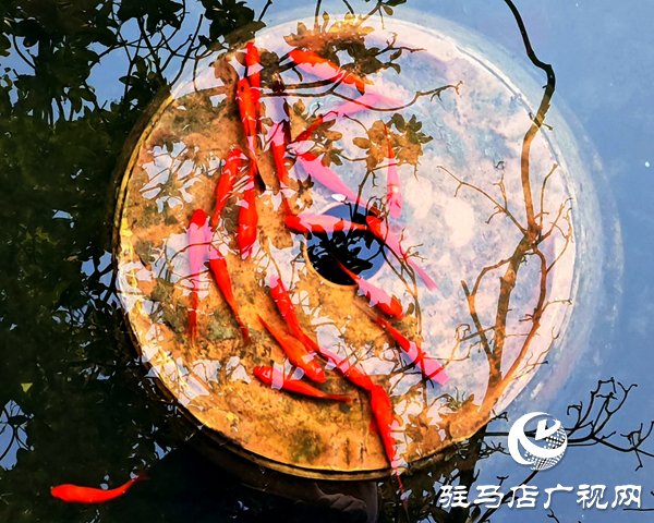 蝶變人間春滿園