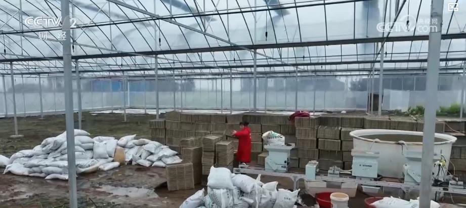 各地因地制宜搶抓春耕備耕 夯實糧食豐收基礎