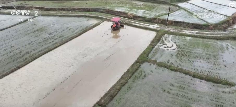 各地因地制宜搶抓春耕備耕 夯實糧食豐收基礎