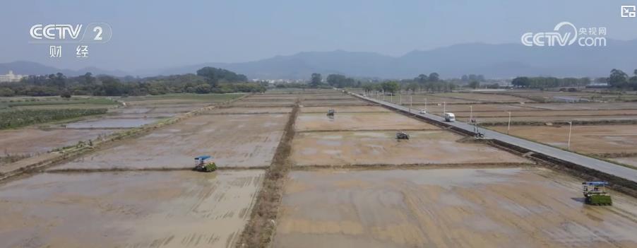 各地因地制宜搶抓春耕備耕 夯實糧食豐收基礎
