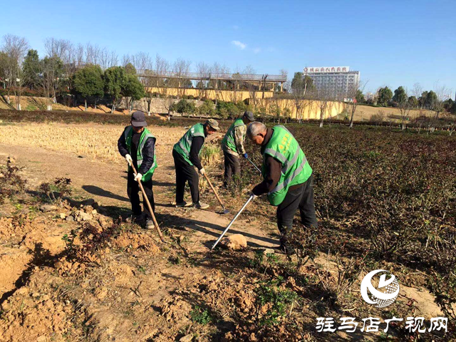 確山縣住建局：春季綠化養護忙，不負春景好時光