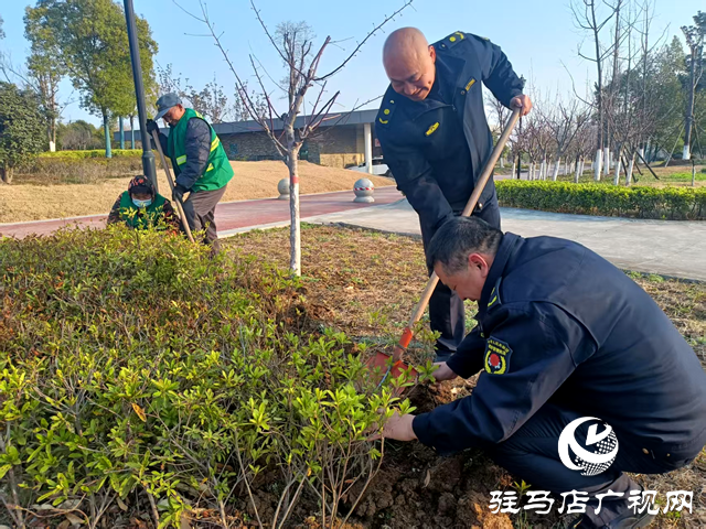 確山縣住建局：春季綠化養護忙，不負春景好時光