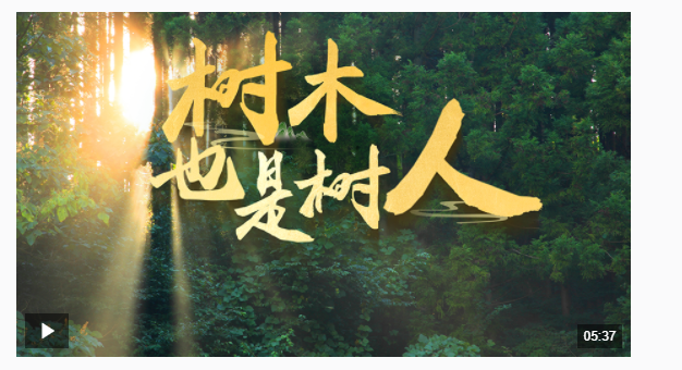 近觀“兩山” | 樹木，也是樹人