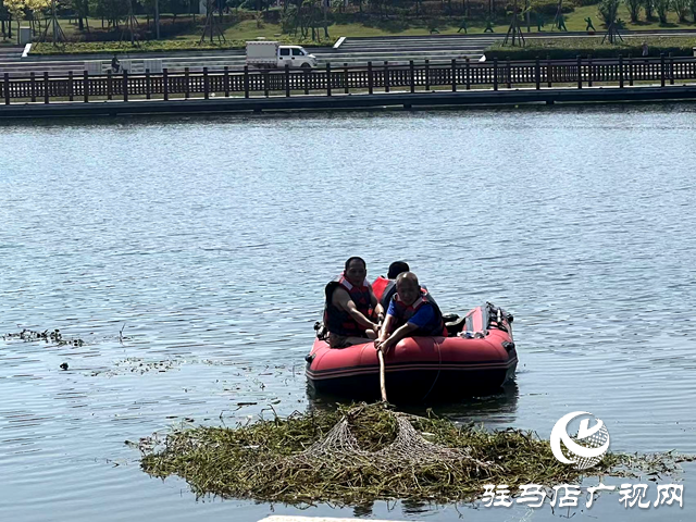 守護一城碧水！確山縣住建局清淤除草保河暢水清