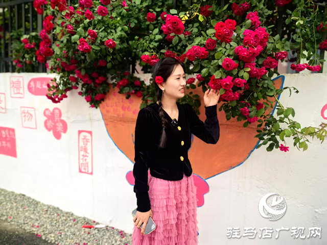 薔薇綻放 幼兒園老師繪就網紅打卡地