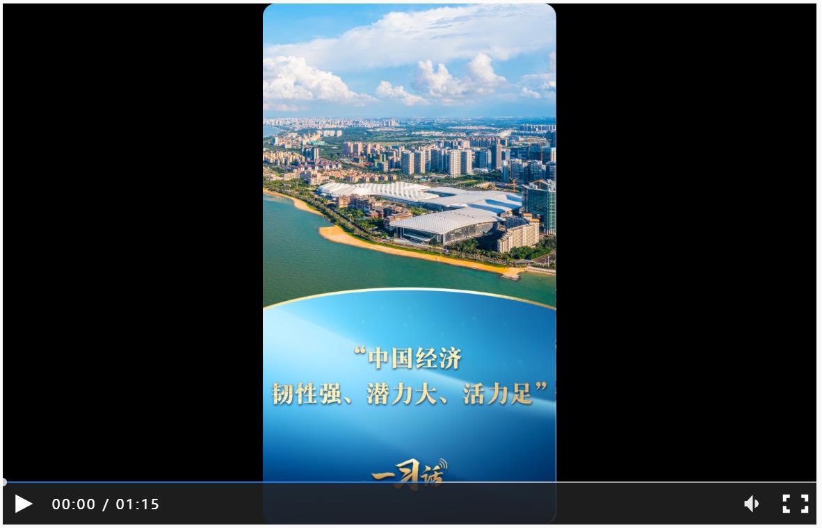 一習話丨“中國經濟韌性強、潛力大、活力足”