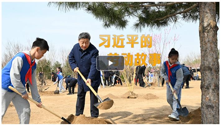 追光的你丨習近平的勞動故事