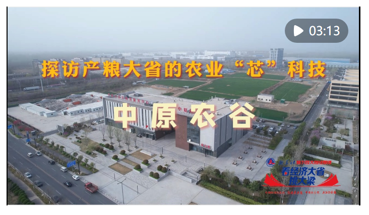 中原農谷育新種迎豐年——探訪產糧大省河南的農業“芯”科技