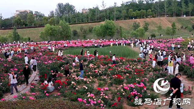 綠意蔥蘢花滿城！確山縣住建局精心打造“城市大花園”