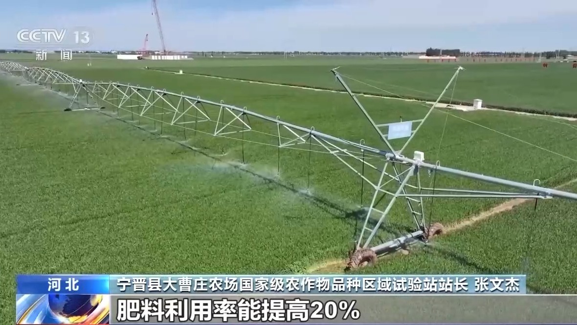 AI大模型助力糧食生產 我國夏糧進入產量形成關鍵期