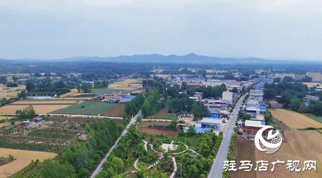 泌陽縣盤古鄉：特色種養繪就鄉村振興新圖景