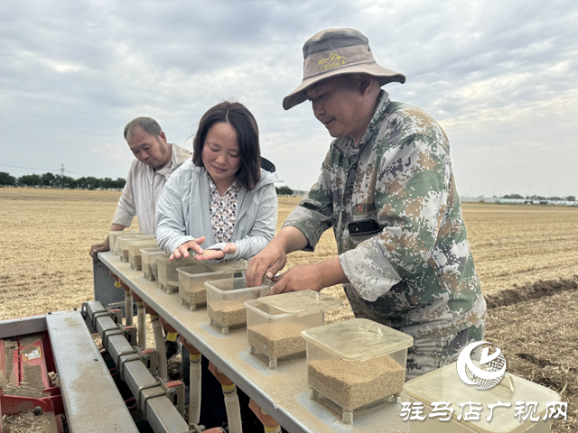 駐馬店驛城區：新農機新模式繪就夏種新圖景 搶墑播種全力沖刺秋糧豐收