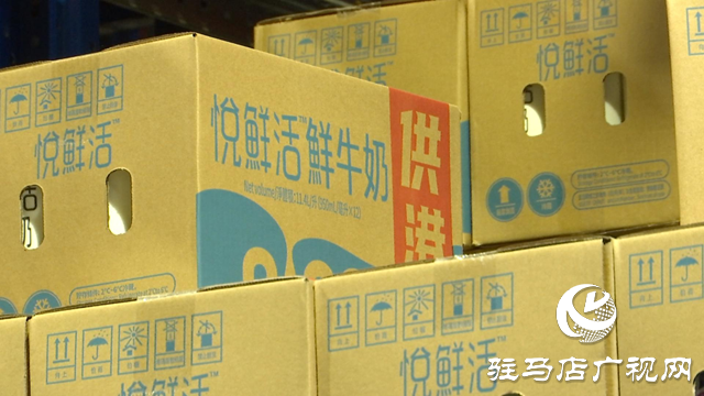 正陽君樂寶乳業第二季度生產勢頭強勁 專注鮮奶與酸奶生產