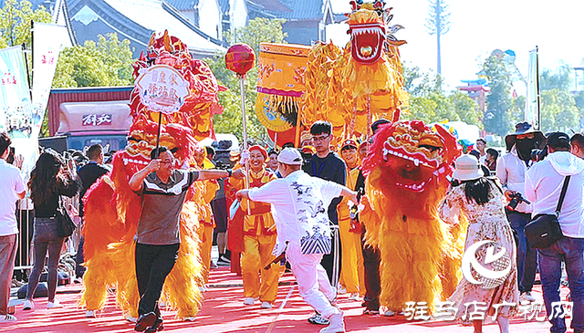 駐馬店驛城區：豫韻鄉情“嗨”翻天 “俺村最有戲”演繹文化新風尚