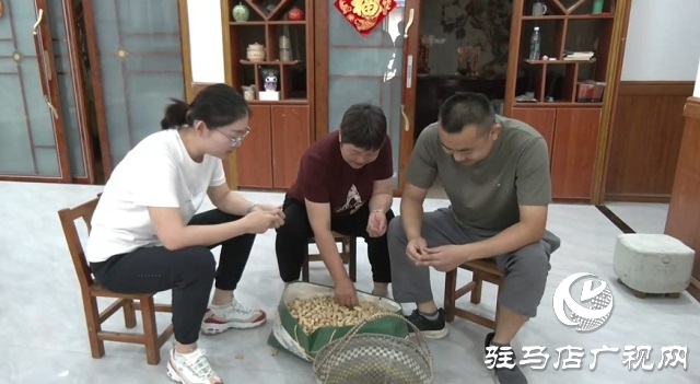 新蔡縣龍口村：激活鄉風文明“細胞” 擘畫鄉村振興新畫卷